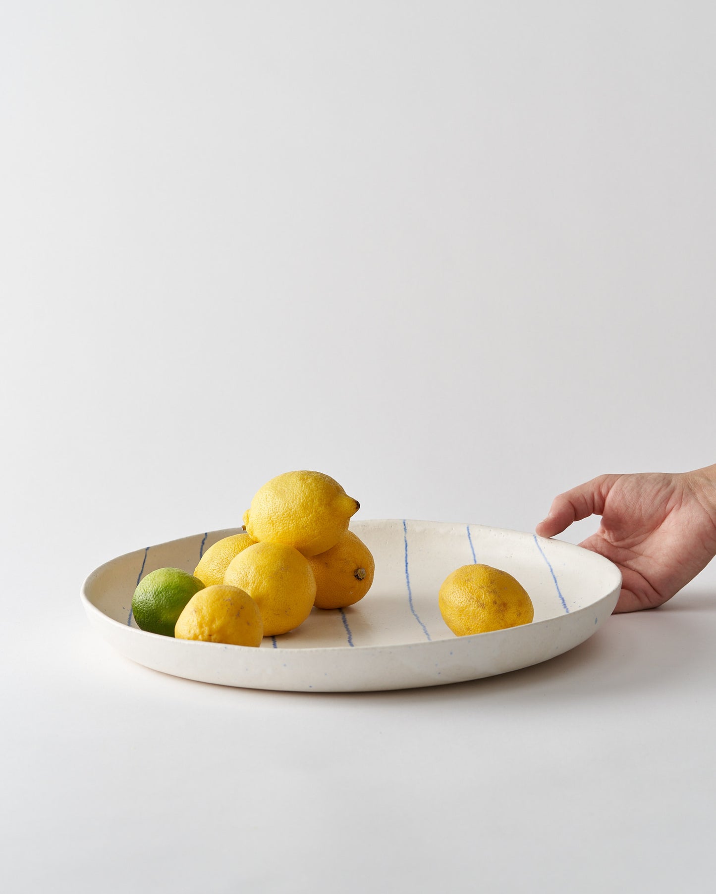 Large Tray / LINES
