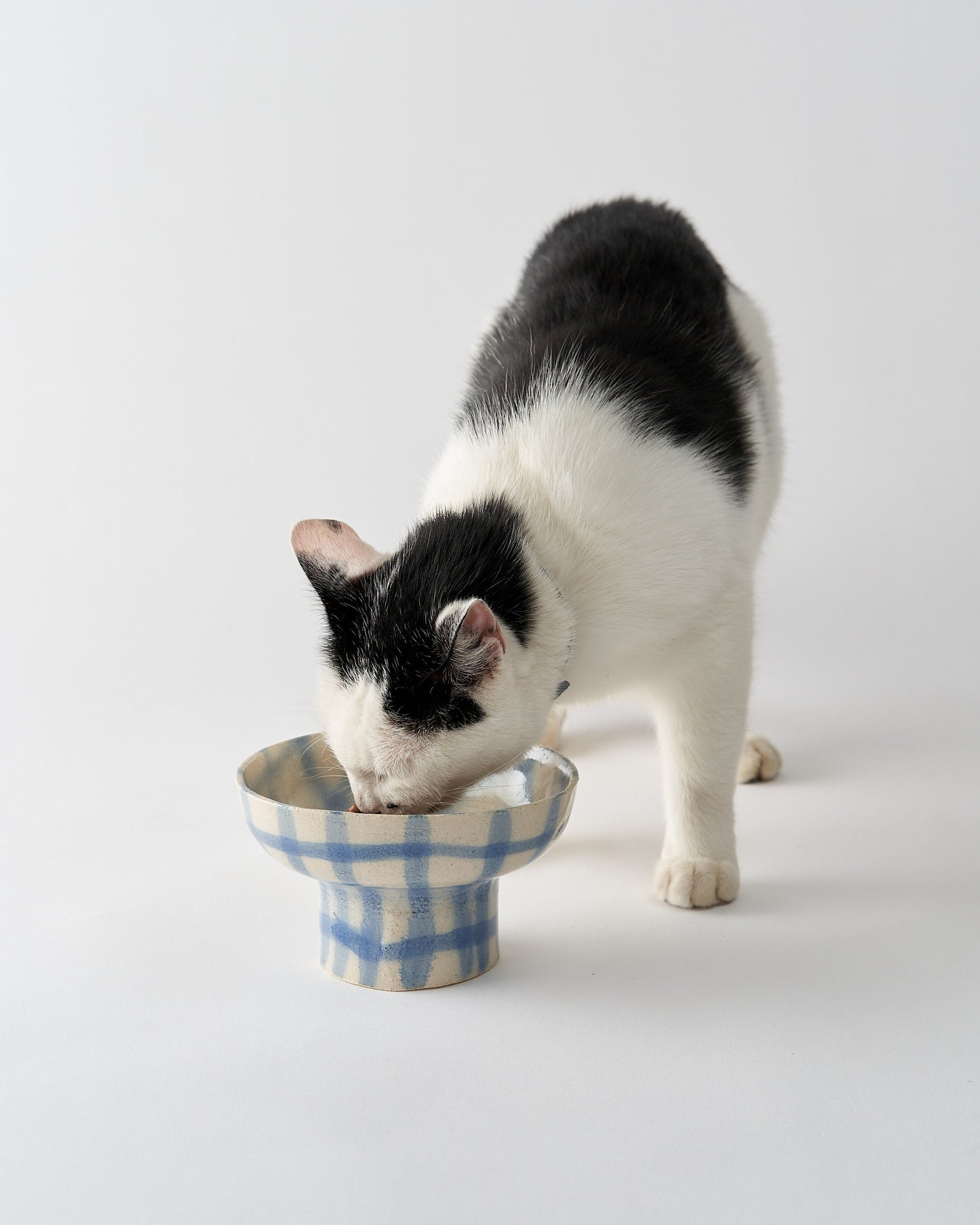 Pet food bowl Ø 14 cm / Air Brushed