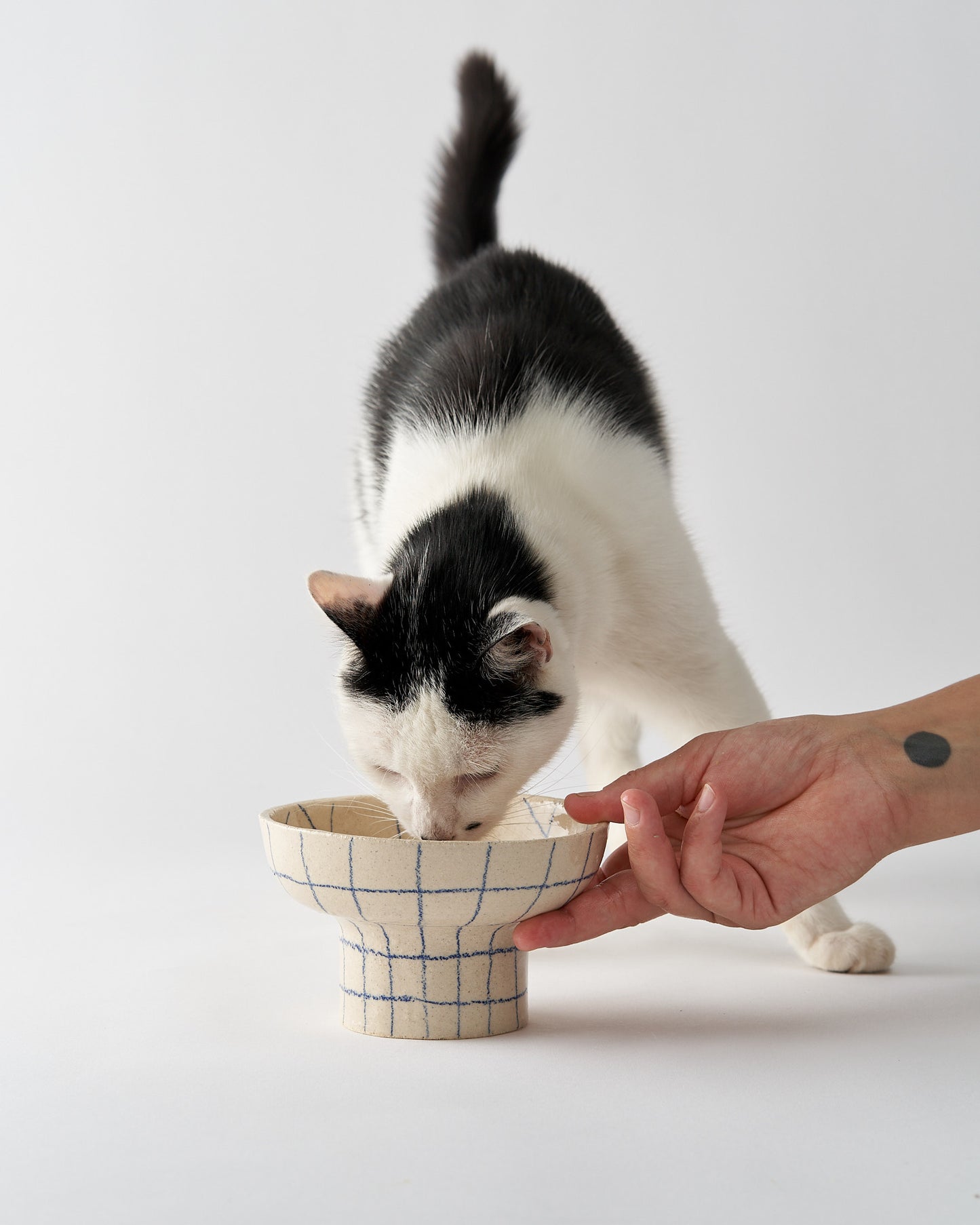 Pet food bowl Ø 14 cm / GRID