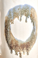 Carafe - Big Circle #1