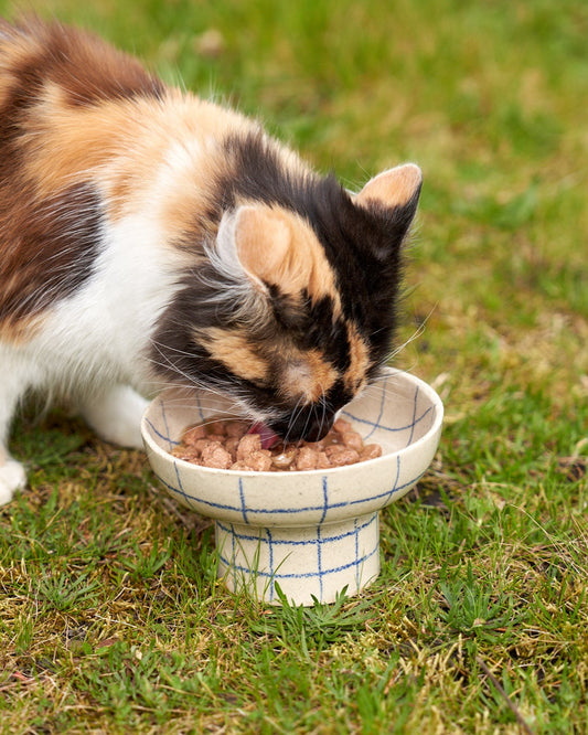 Pet food bowl Ø 14 cm / GRID