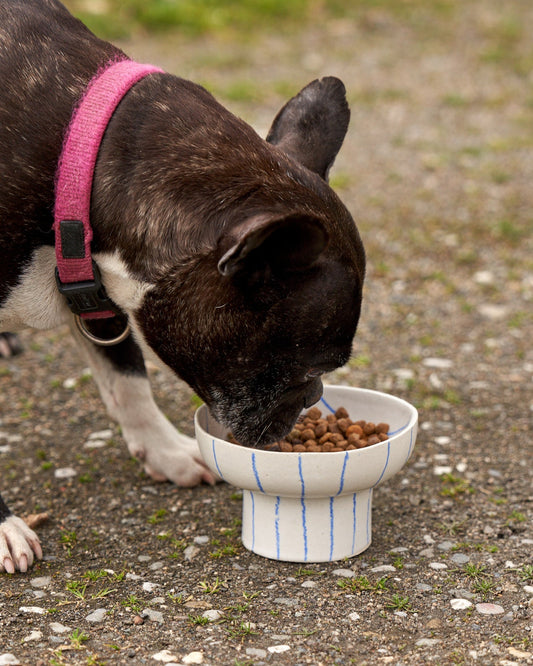 Pet food bowl Ø 14 cm / LINES