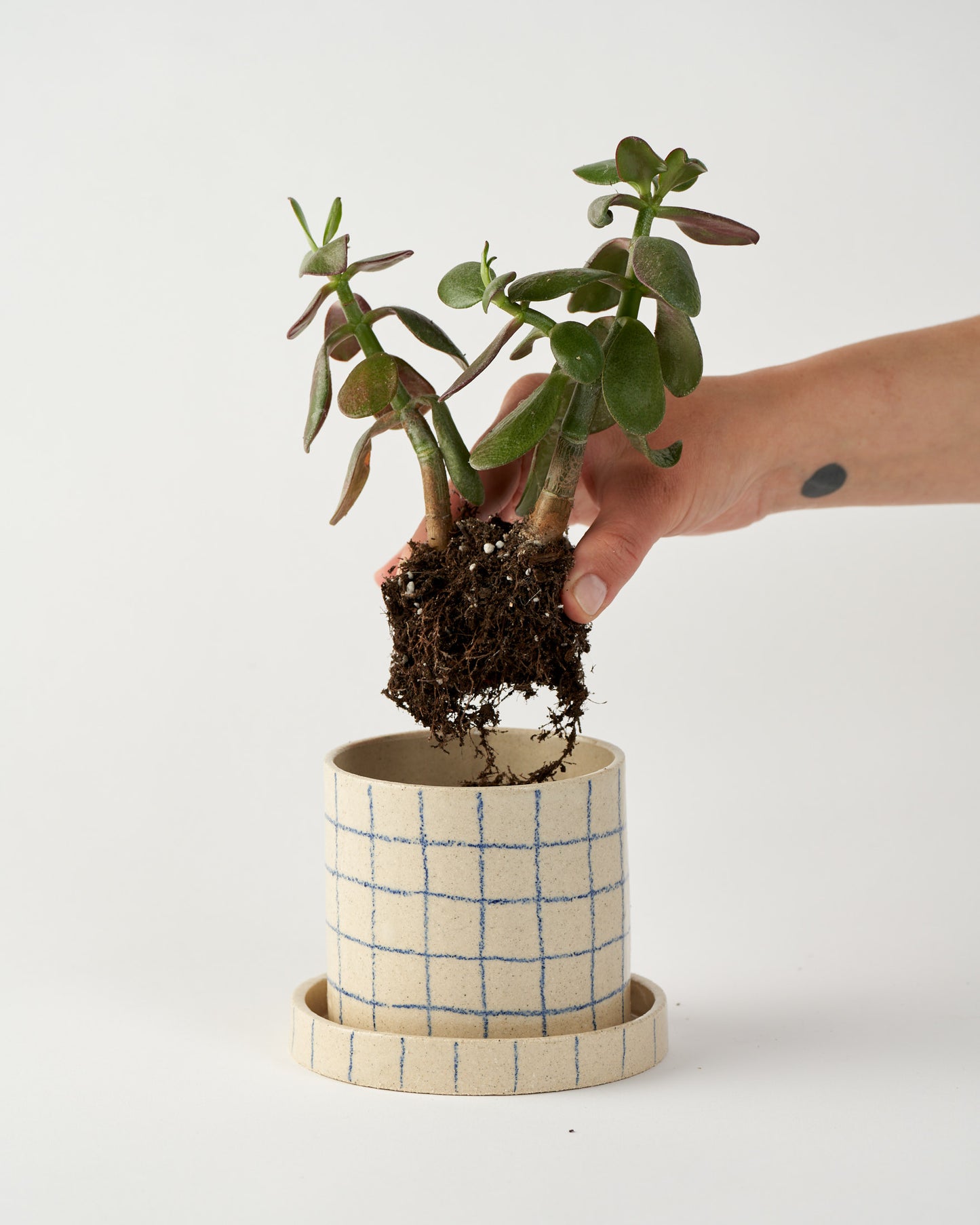 Plant Pot S / Grid
