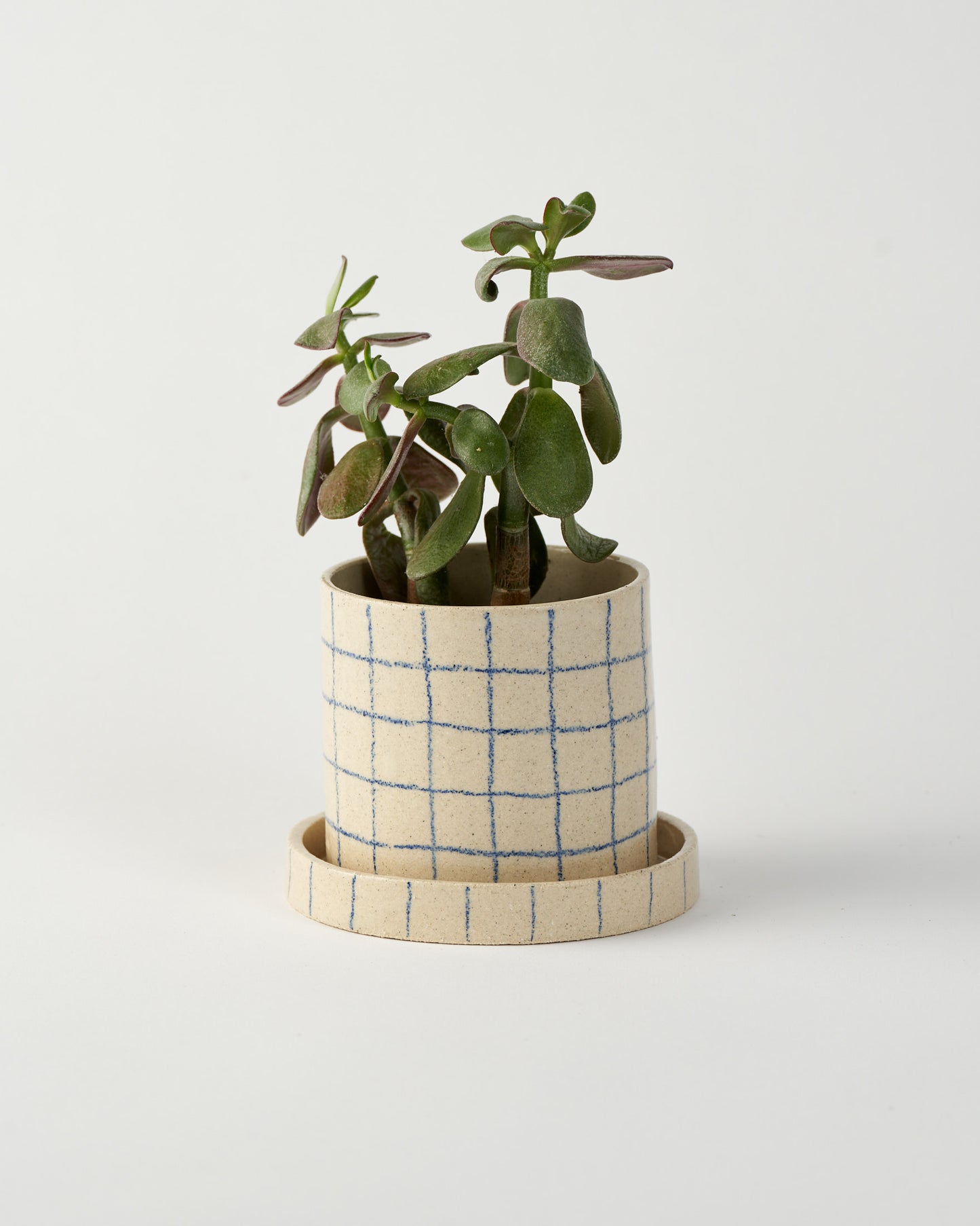 Plant Pot S / Grid
