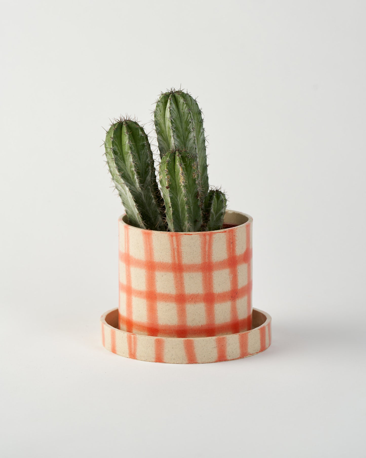 Plant Pot M / Orange