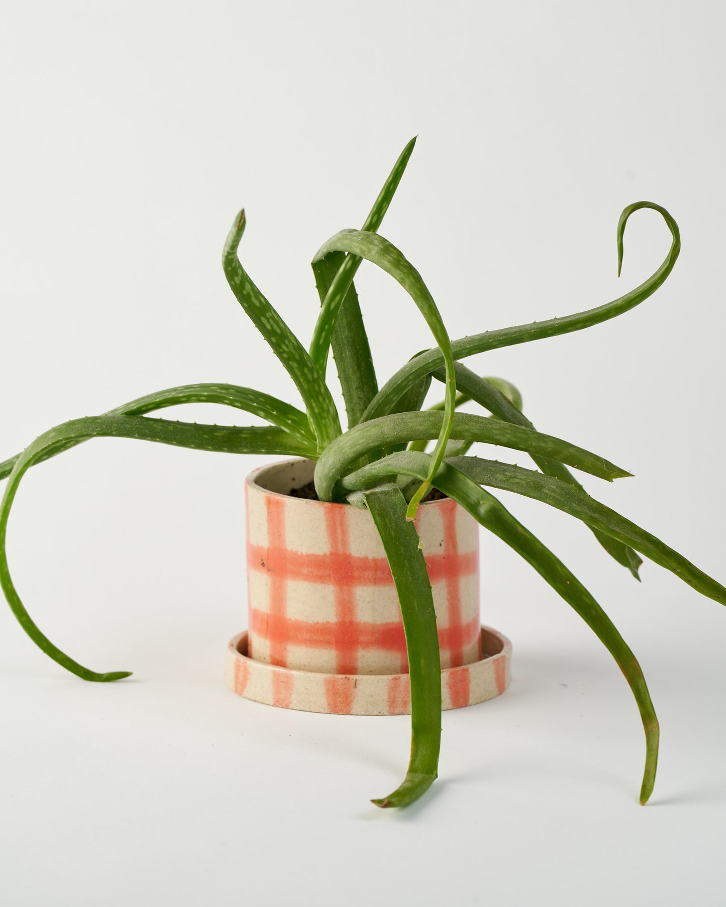 Plant Pot S / Orange