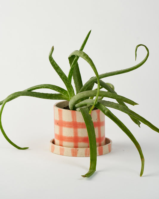 Plant Pot S / Orange