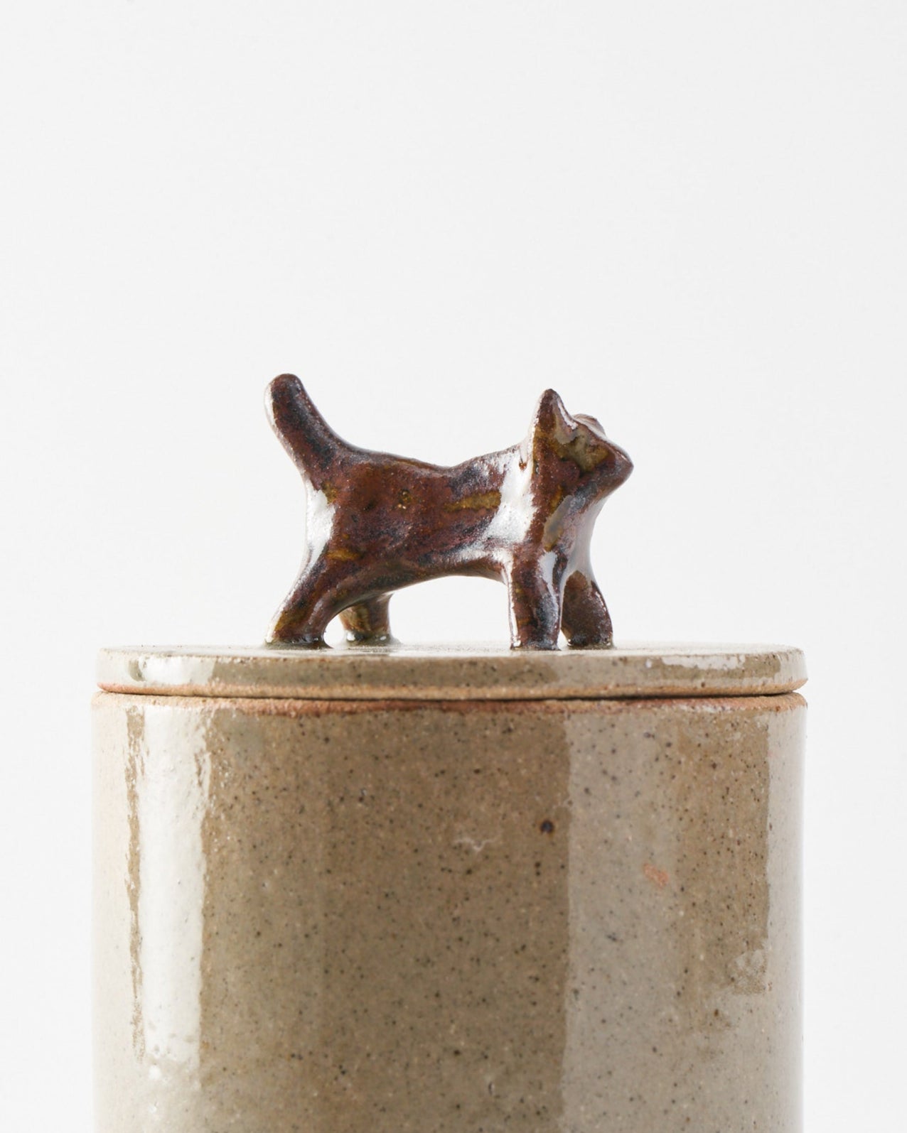 Souvenir / Box S / Mouche