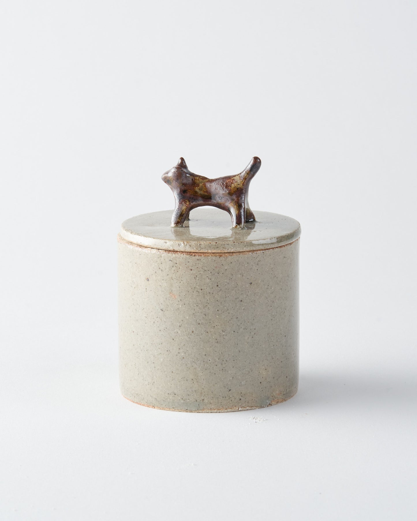 Souvenir / Box S / Mouche