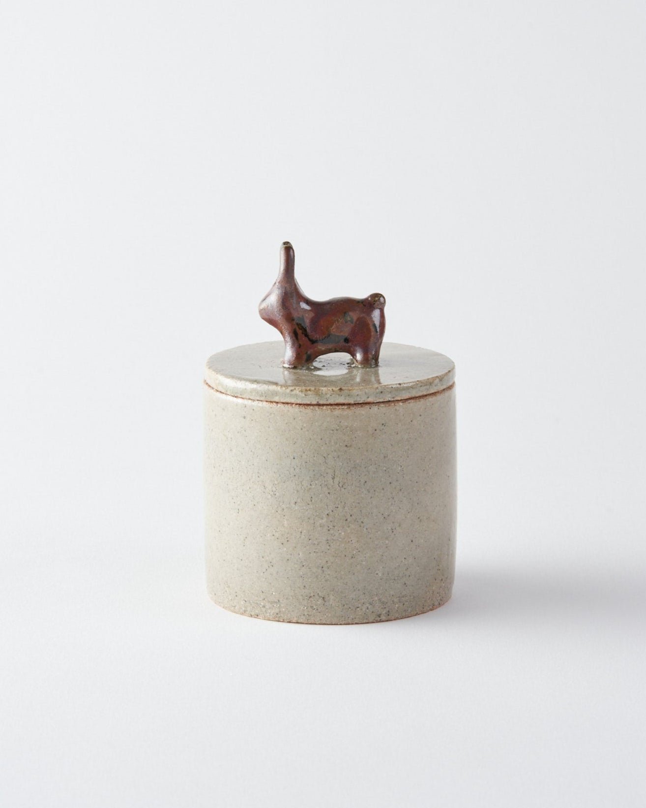 Souvenir / Box S / Le lapin du parc