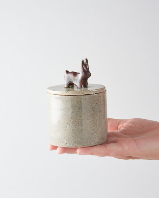 Souvenir / Box S / Le lapin du parc