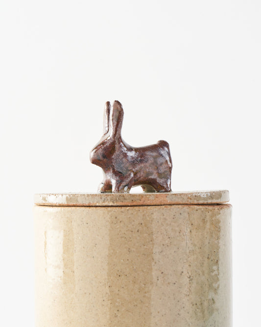 Souvenir / Box S / Le lapin des champs