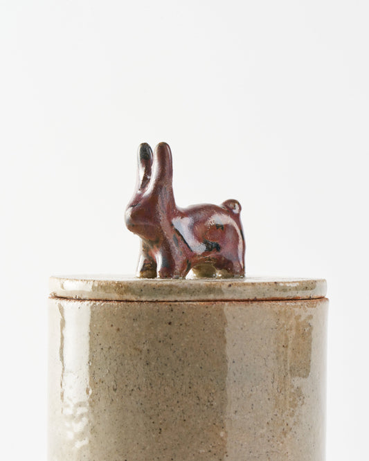 Souvenir / Box S / Le lapin du parc
