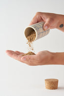 Spice Pot