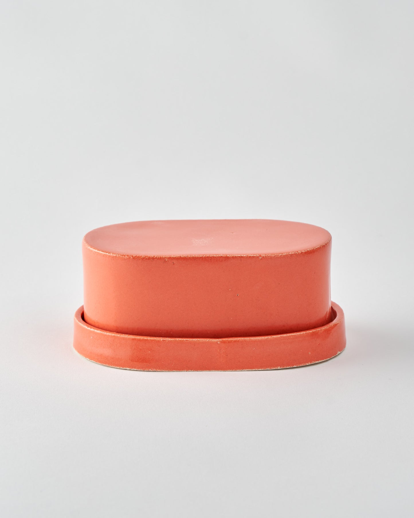 Butter dish / Coral