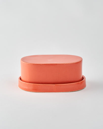 Butter dish / Coral