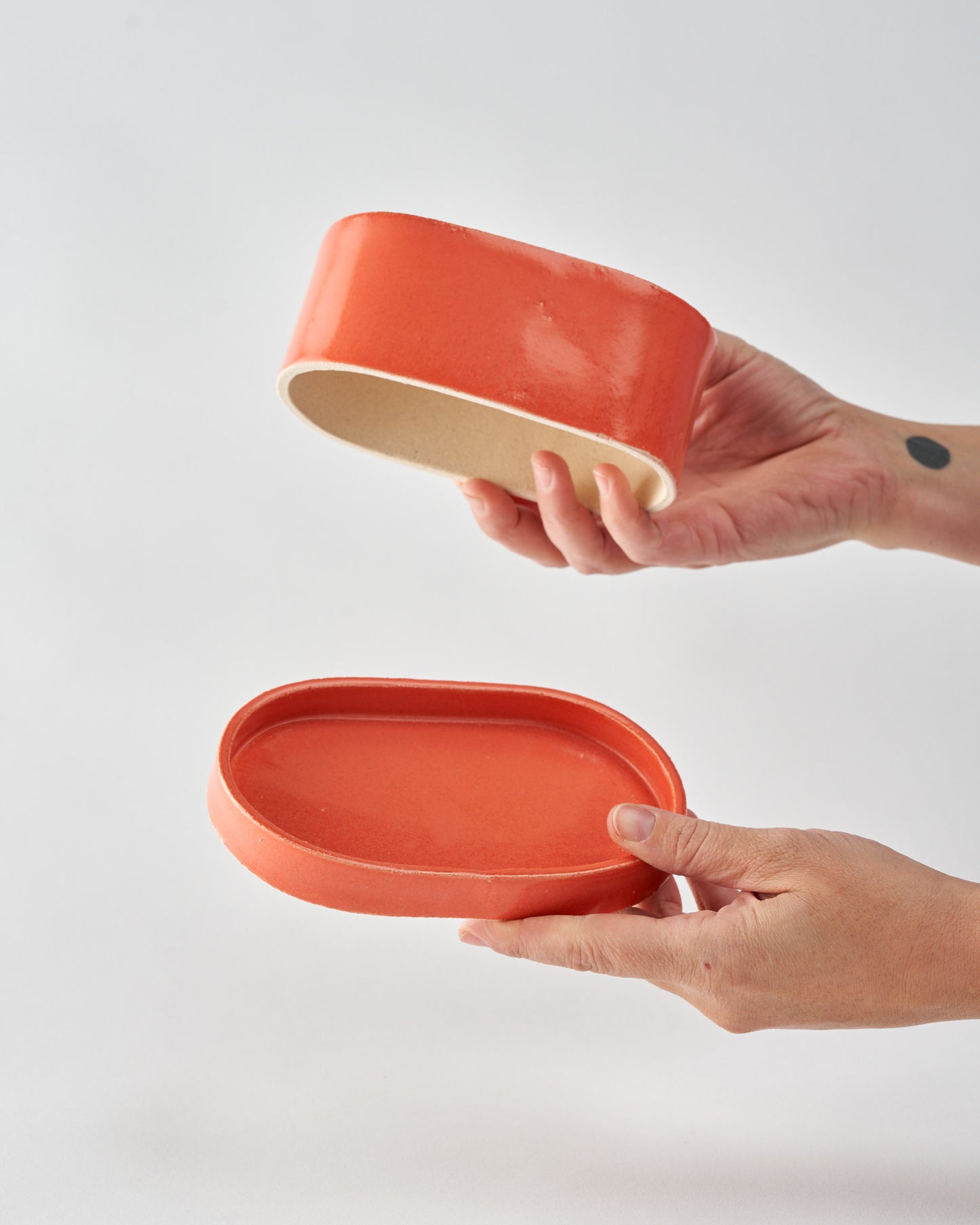 Butter dish / Coral