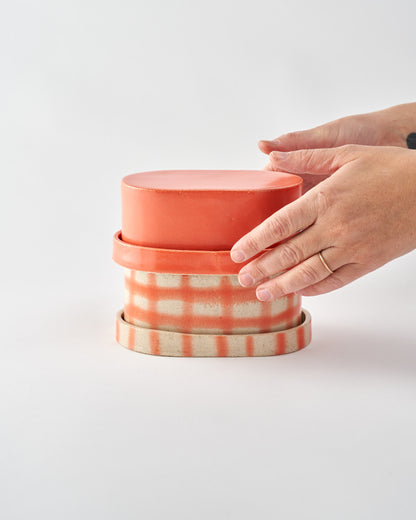 Butter dish / Coral