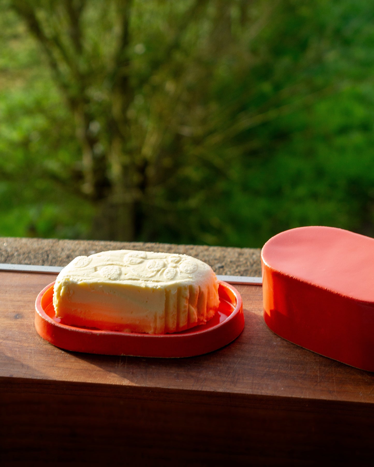 Butter dish / Coral