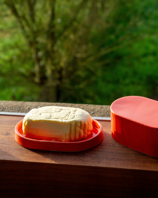 Butter dish / Coral