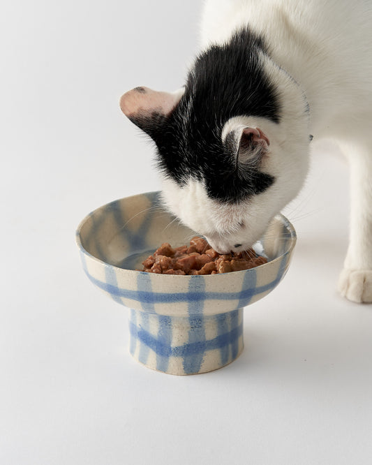 Cat food bowl Ø 14 cm / Air Brushed