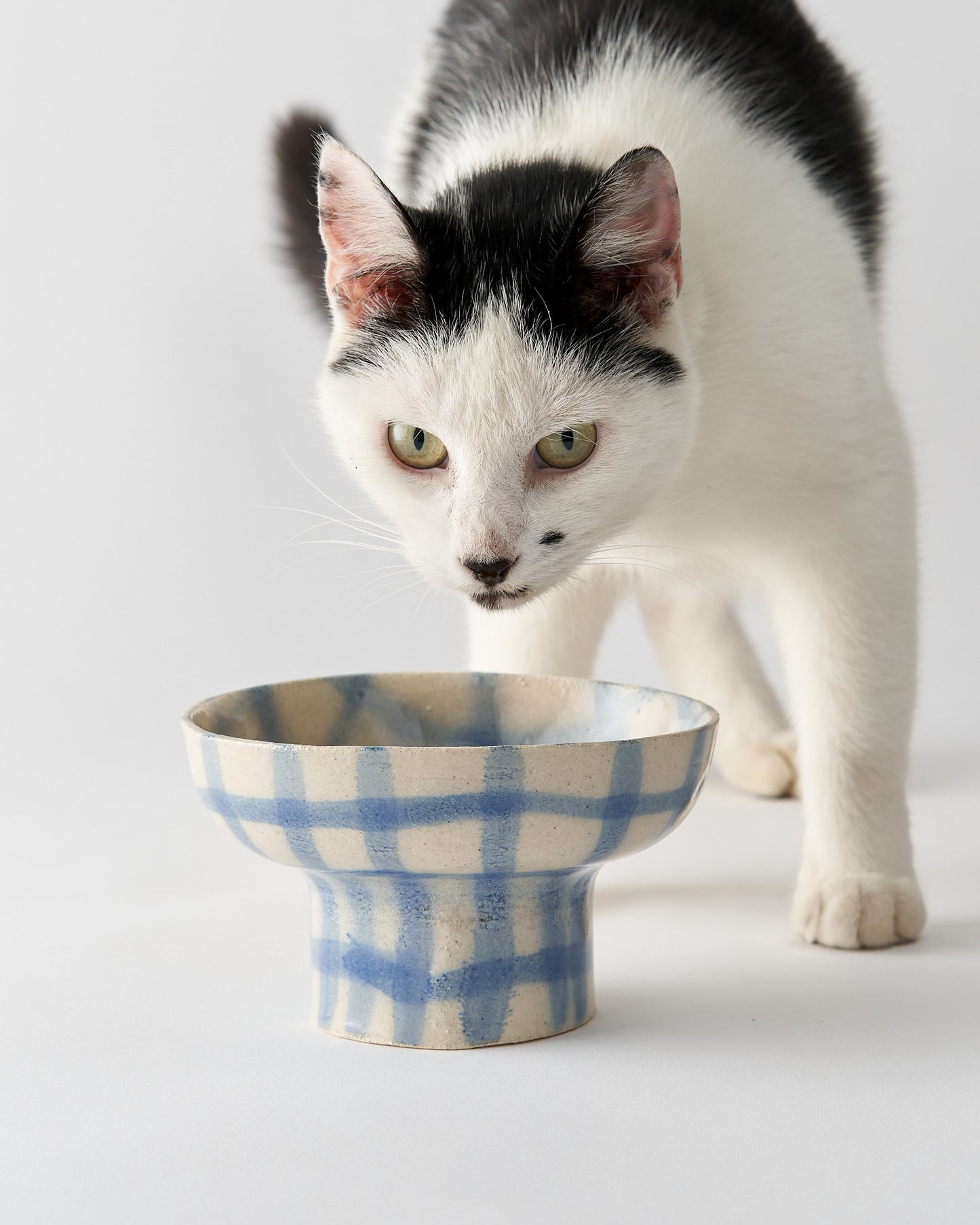 Gamelle pour animaux