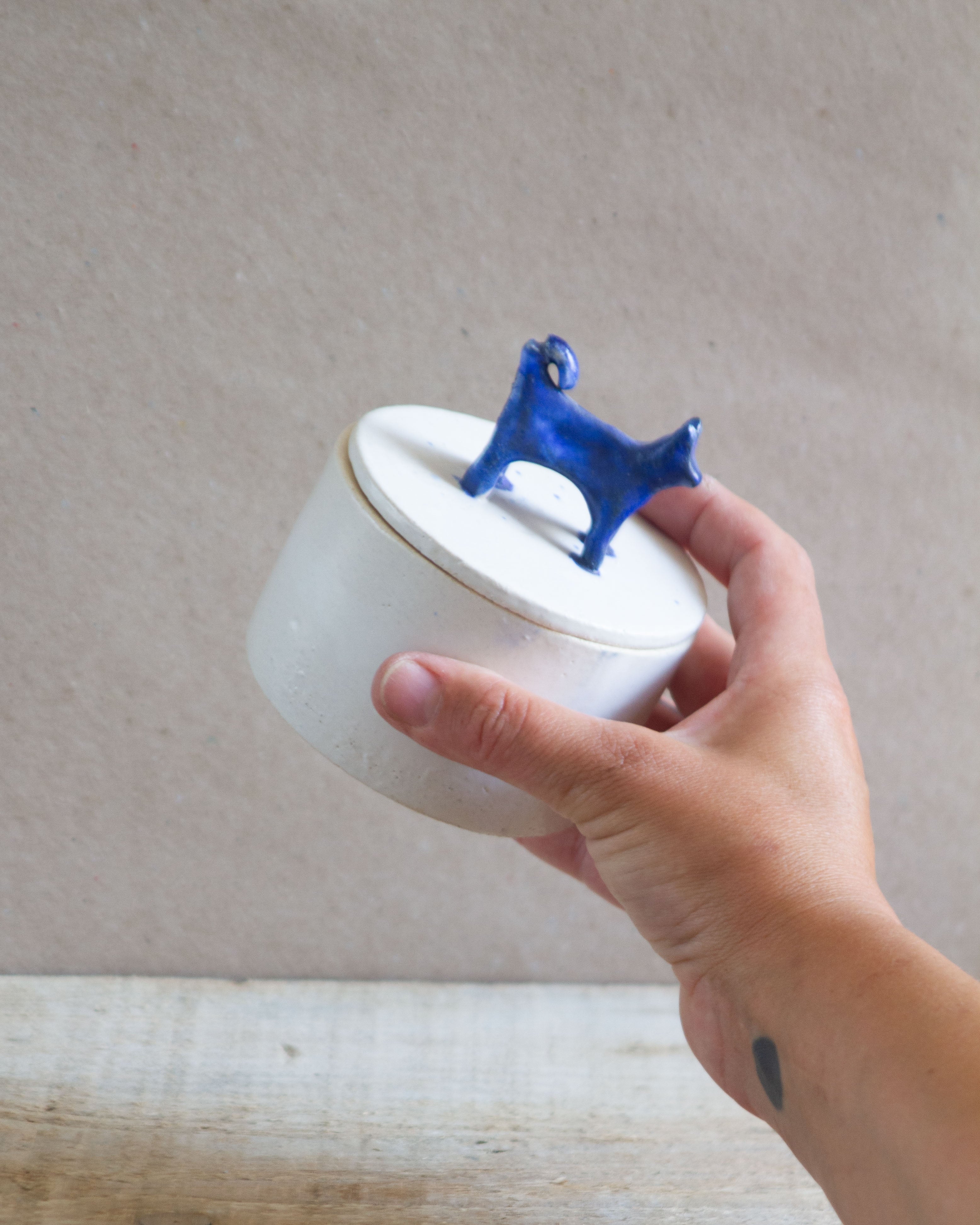 SALE / Blue Cat Box