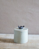 SALE / Bird Box
