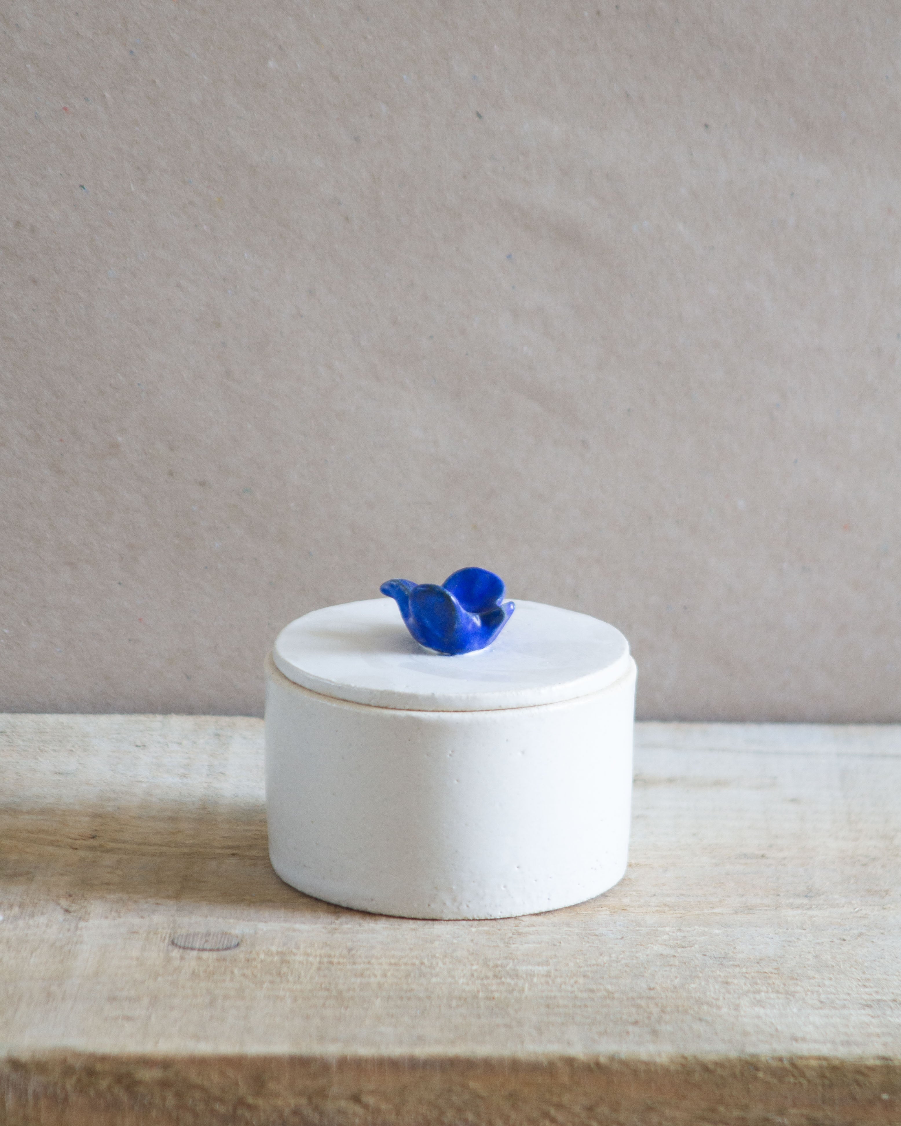 SALE / Blue Bird Box
